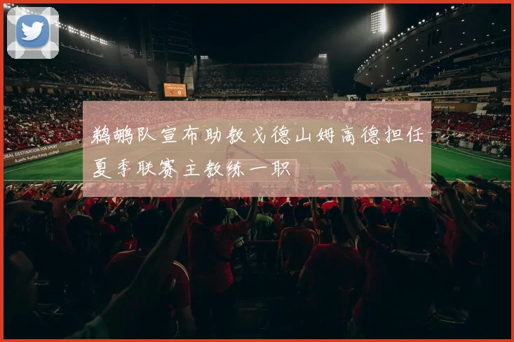 鹈鹕队宣布助教戈德山姆高德担任夏季联赛主教练一职