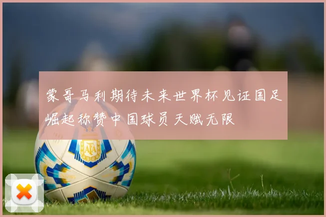 蒙哥马利期待未来世界杯见证国足崛起称赞中国球员天赋无限